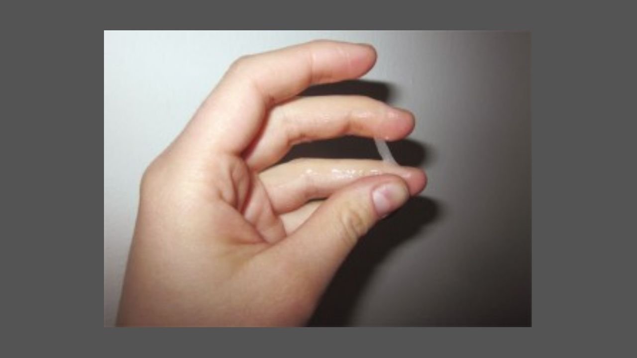 সাদা স্রাব হলে কি কুরআন পড়া যাবে