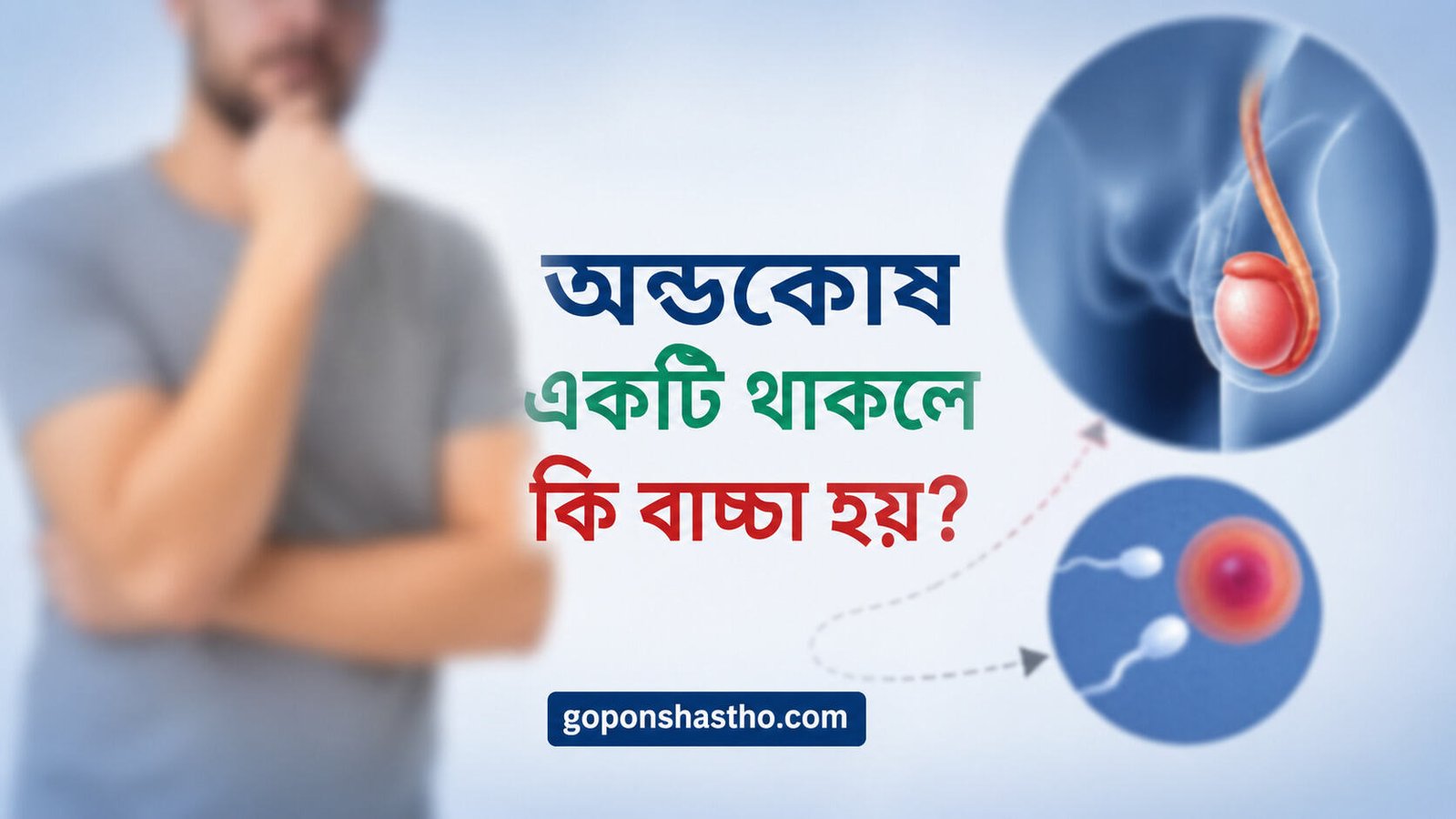 অন্ডকোষ একটি থাকলে কি বাচ্চা হয়